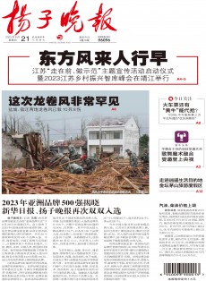 揚子晚報雜志