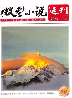 微型小說選刊