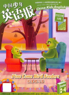 中國(guó)少年英語報(bào)雜志